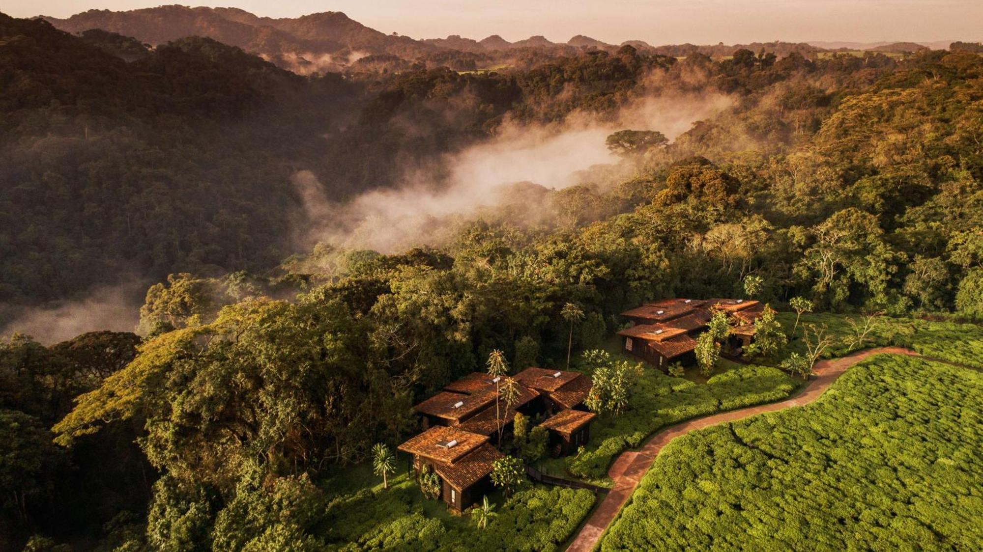 Вілла One&Only Nyungwe House Rwumba Екстер'єр фото