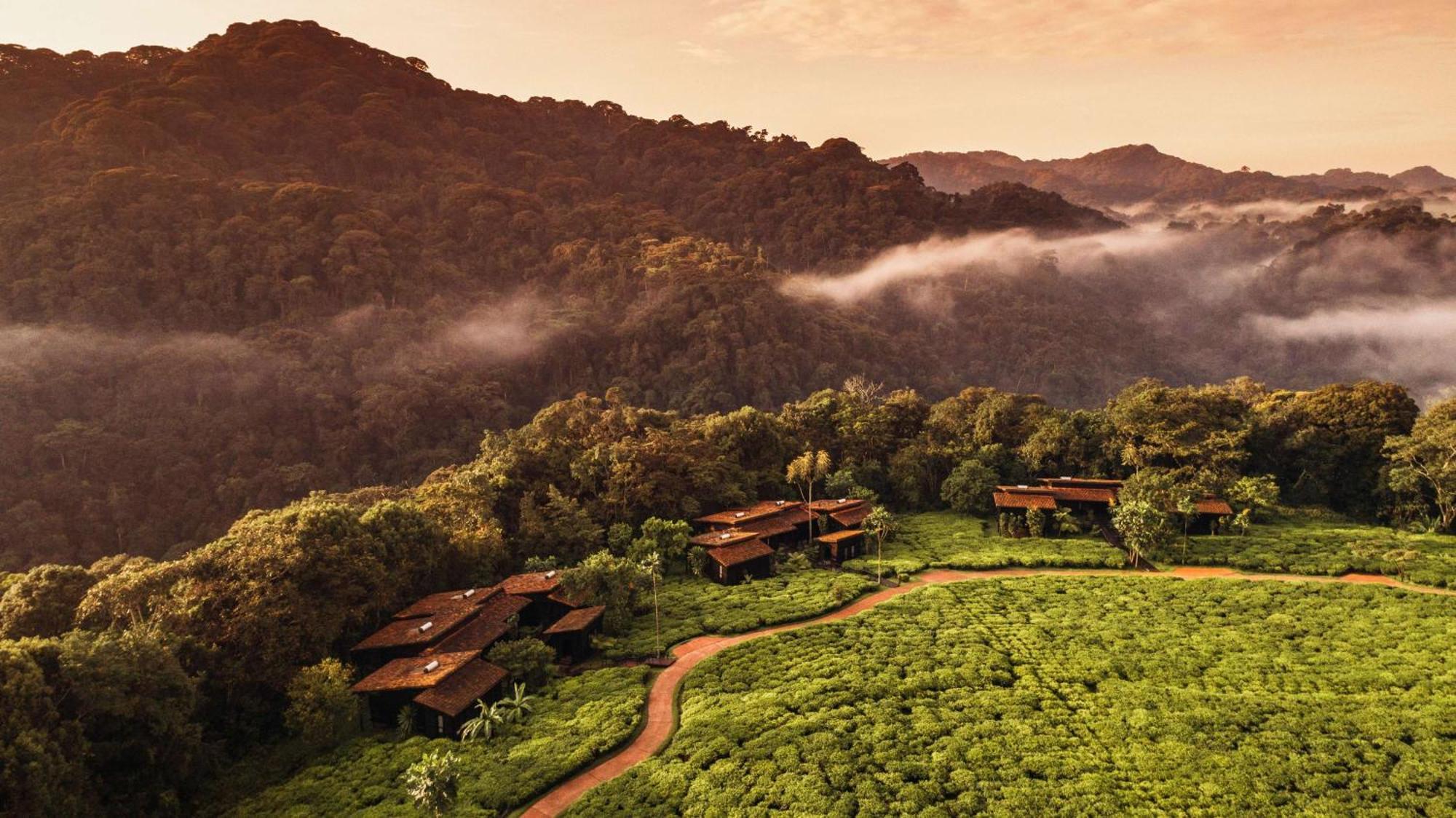 Вілла One&Only Nyungwe House Rwumba Екстер'єр фото